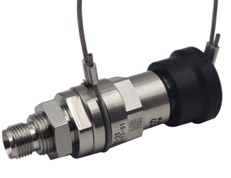 bsports登录官网入口