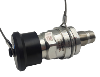 bsports登录官网入口